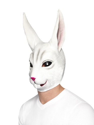 Erwachsener weißer hase - erwachsener,