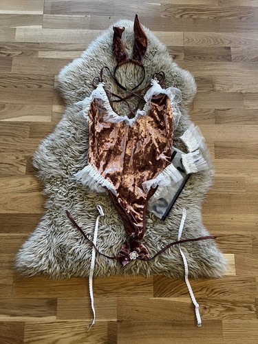 Shein kostüm hase - hase, dessous